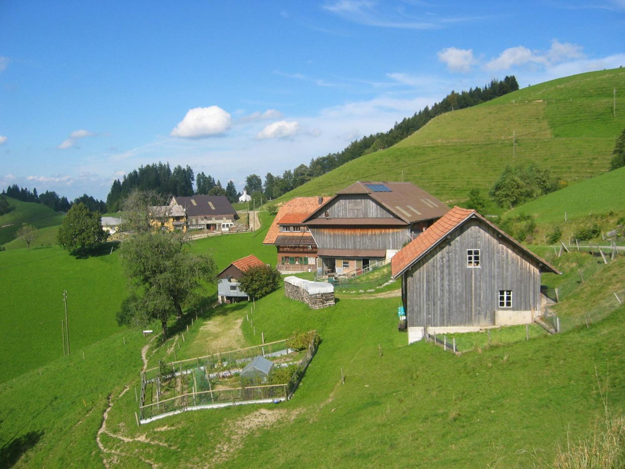 Apartment Ober-Tiefenbühl Hergiswil Exterior foto